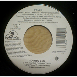 Tamia So Into You Vinyl 7" USED