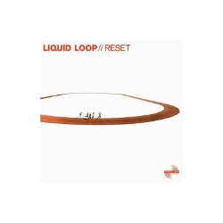 Liquid Loop Reset Vinyl LP USED