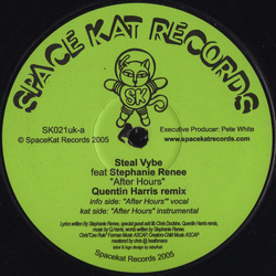 Steal Vybe / Stephanie Renee After Hours (Quentin Harris Remix) Vinyl 12" USED