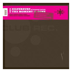 Zilverzurfarn The Moment Is Gone Vinyl 12" USED