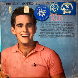 Various The Flamingo Kid (Original Motion Picture Soundtrack) Vinyl LP USED