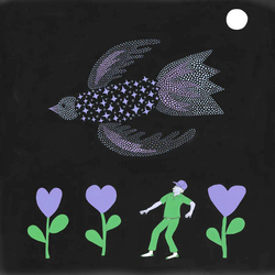 Bonnie "Prince" Billy The Purple Bird Vinyl LP USED
