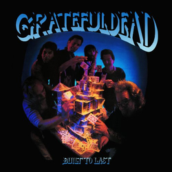 The Grateful Dead Built To Last Vinyl LP USED