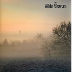 Wilde Flowers The Wilde Flowers Vinyl LP USED