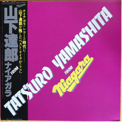 Tatsuro Yamashita Tatsuro Yamashita From Niagara = 山下達郎 From ナイアガラ Vinyl LP USED
