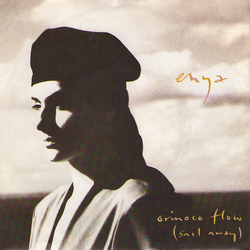 Enya Orinoco Flow (Sail Away) Vinyl 7" USED