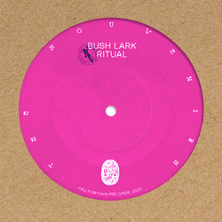 The Souvenirs (5) Bush Lark Ritual Vinyl 7" USED