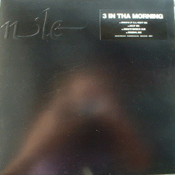 Nile 3 In Tha Morning Vinyl 12" USED