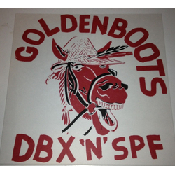 Golden Boots DBX 'N' SPF Vinyl LP USED