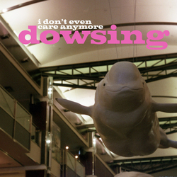 Dowsing I Don't Even Care Anymore Vinyl 12" USED