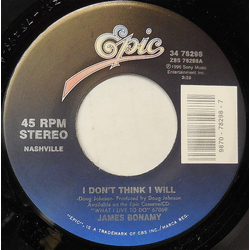 James Bonamy I Don't Think I Will Vinyl 7" USED