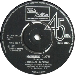 Michael Jackson Morning Glow Vinyl 7" USED