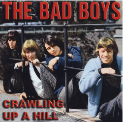 The Bad Boys (5) Crawling Up A Hill Vinyl LP USED
