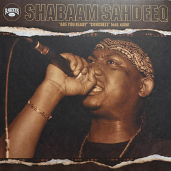 Shabaam Sahdeeq Are You Ready / Concrete Vinyl 12" USED