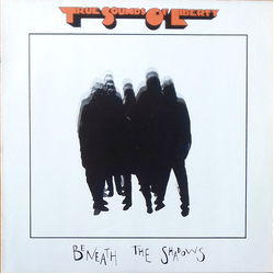T.S.O.L. Beneath The Shadows Vinyl LP USED