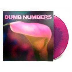 Dumb Numbers Dumb Numbers Vinyl LP USED