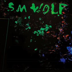 S.M. Wolf Neon Debris Vinyl LP USED