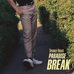 Sparkly Night Paradise Break Vinyl LP USED