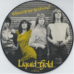 Liquid Gold Where Did We Go Wrong? Vinyl 7" USED
