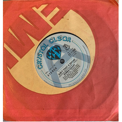 Dennis Knight Ain't That A Shame Vinyl 7" USED
