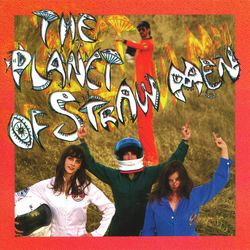 Tropical Fuck Storm The Planet Of Straw Men Vinyl 7" USED