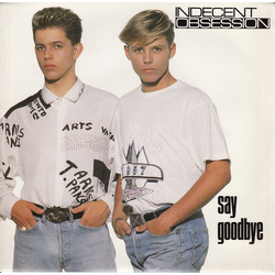 Indecent Obsession Say Goodbye Vinyl 7" USED