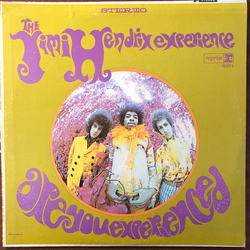 The Jimi Hendrix Experience Are You Experienced? Vinyl LP USED