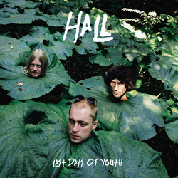 Hall (17) Last Days Of Youth Vinyl LP USED