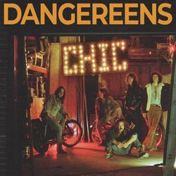 Dangereens Chic Vinyl LP USED