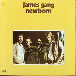 James Gang Newborn Vinyl LP USED