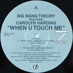 Big Bang Theory / Carolyn Harding When U Touch Me Vinyl 12" USED