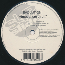 Evolution (5) Atmosphere Strutt Vinyl 12" USED