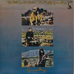 The Groundhogs Who Will Save The World? The Mighty Groundhogs Vinyl LP USED