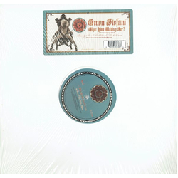 Gwen Stefani What You Waiting For? Vinyl 12" USED