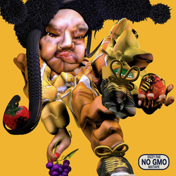 Dizzy Fae NO GMO Mixtape Vinyl LP USED