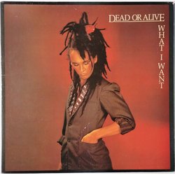 Dead Or Alive What I Want Vinyl 12" USED