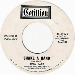 Tobi Lark Shake A Hand Vinyl 7" USED