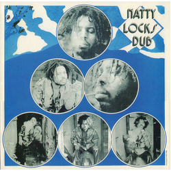 Winston Edwards Natty Locks Dub Vinyl LP USED