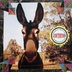 Levitation (2) World Around Vinyl 12" USED