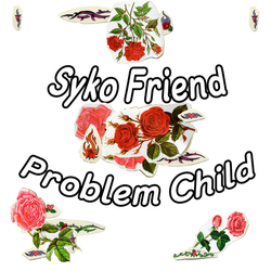 Syko Friend Problem Child Vinyl LP USED