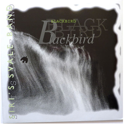 Siri's Svale Band Blackbird Vinyl LP USED
