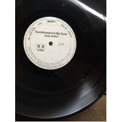Judy Anton Sunshowers In My Eyes Vinyl LP USED