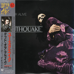 Dead Or Alive Youthquake Vinyl LP USED