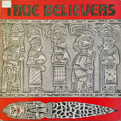 The True Believers True Believers Vinyl LP USED