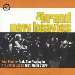 The Brand New Heavies Soul Flower / It's Gettin Hectic Vinyl 7" USED