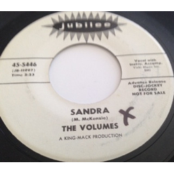 The Volumes Sandra Vinyl 7" USED
