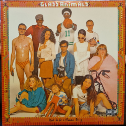 Glass Animals How To Be A Human Being Vinyl LP USED