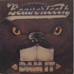 Beaverteeth Dam It Vinyl LP USED