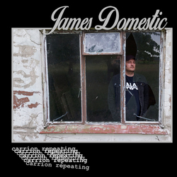 James Domestic Carrion Repeating Vinyl LP USED