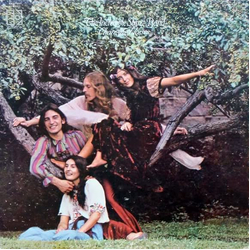 The Incredible String Band Changing Horses Vinyl LP USED